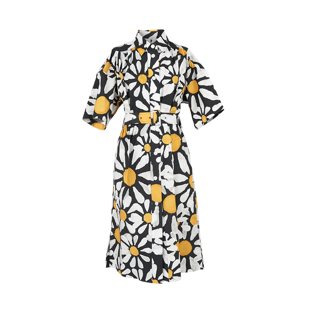 Euphoria Print Poplin Dress